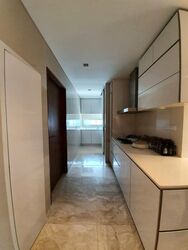 Skyline @ Orchard Boulevard (D9), Apartment #472897491